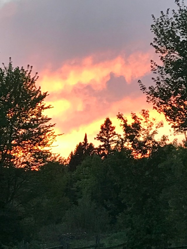 200E08C4-6FEE-4DCA-BF83-73655F6AE3B0