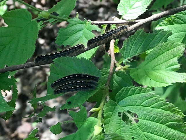 43EDF9B0-B098-4003-9B6B-7BD897E99609