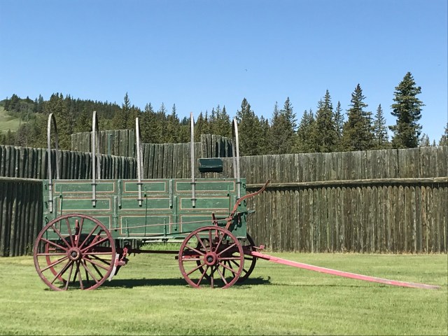 0DC0E95D-9204-4F9A-909E-F1297C0830AD