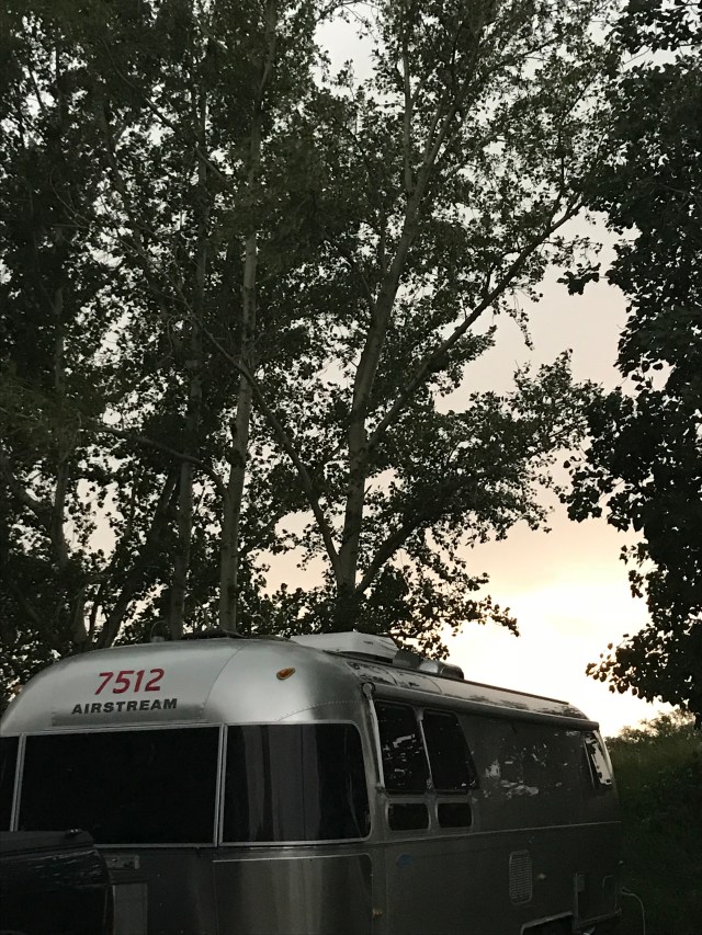 1C70D1D2-0A99-4B24-8F2F-BFD0C6568F90