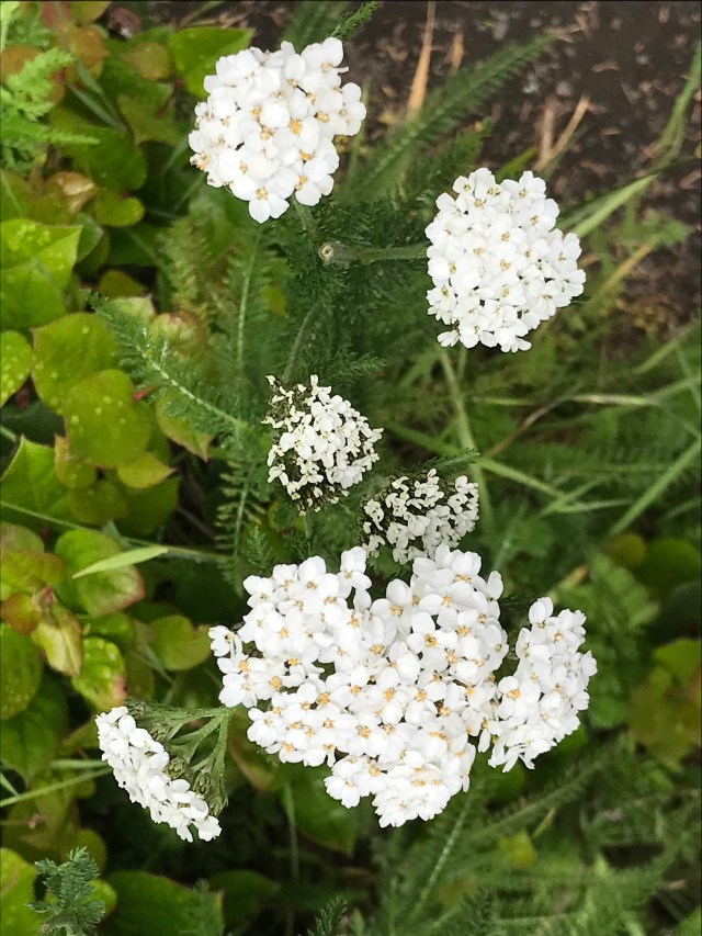 32D67377-296C-4701-971E-C131C5137275