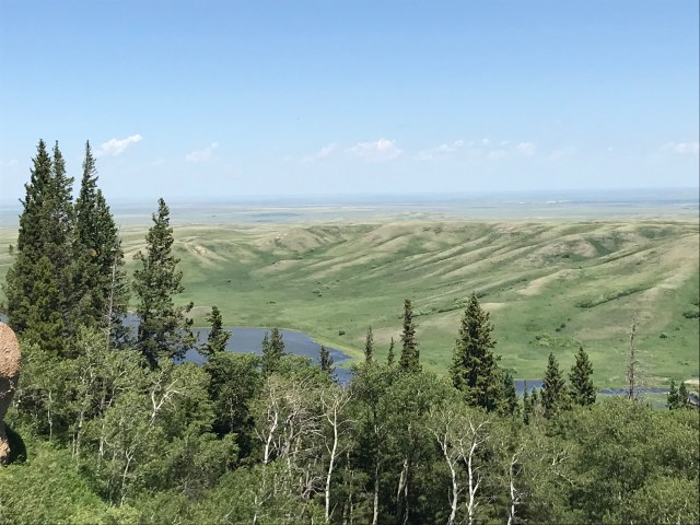 7E112041-0AED-4F2E-AFB0-DAA2F6566B74