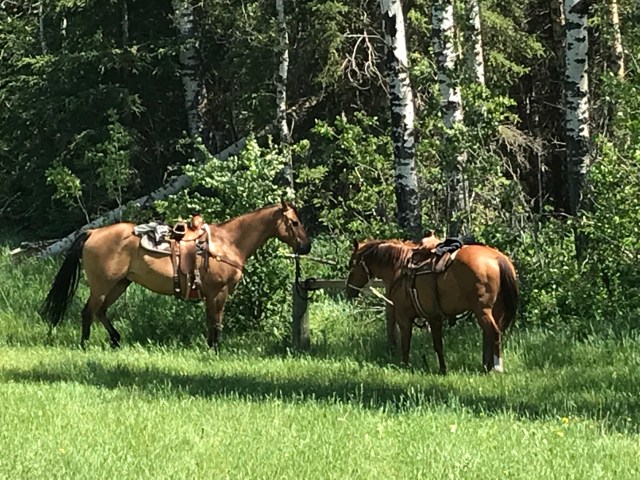 8000F3CB-2765-47CB-BDD6-5FC389C9BECA