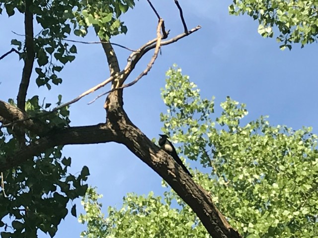 9orwF0w4TJen2PwBj5+5Pg