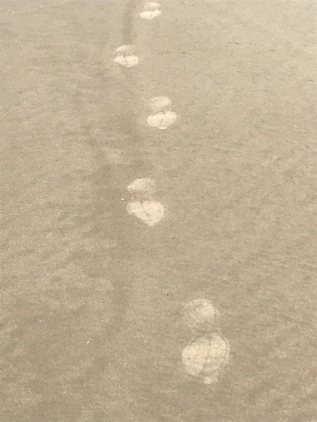 D46B6BF1-4E13-4142-817F-96DD2BD75A8A