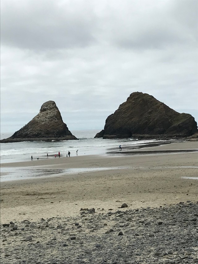 F80E82D0-EB1C-4188-B7C3-21CD37007803