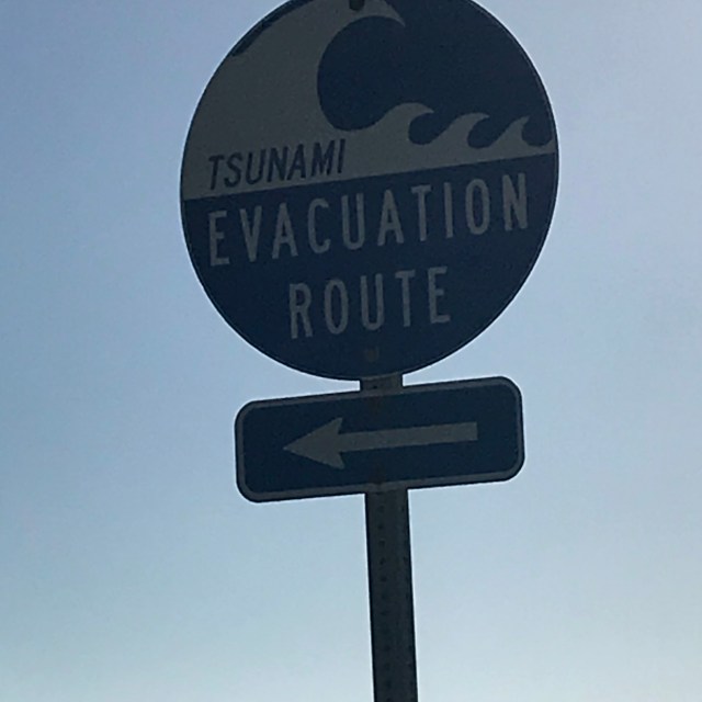 F8F2A007-D750-4BB5-B780-EBA6189DA876