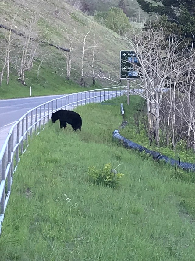 fBANT8JyTYqLLj6YwrhMHA