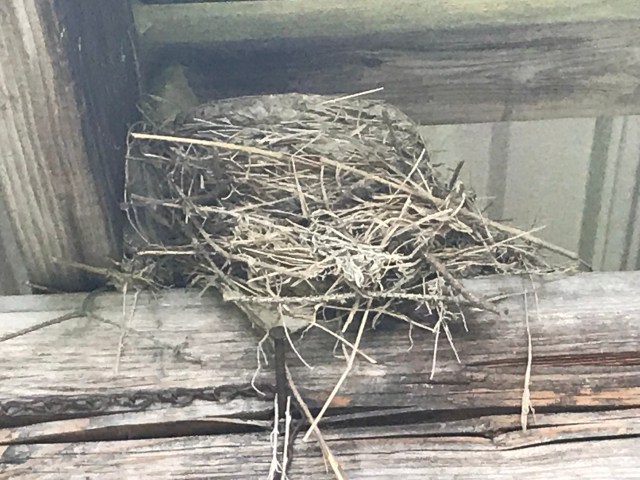 N4fJYDbQSOSACwiRB4RomQ