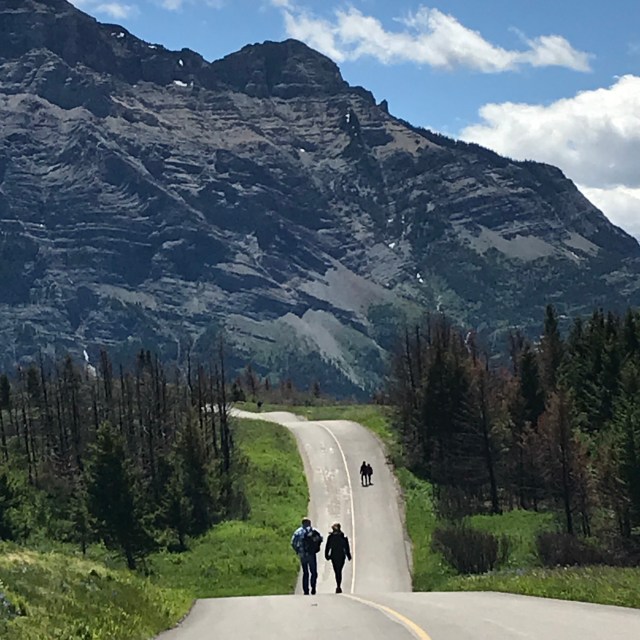 OfSF+NhWSv+LujToRu2P6g