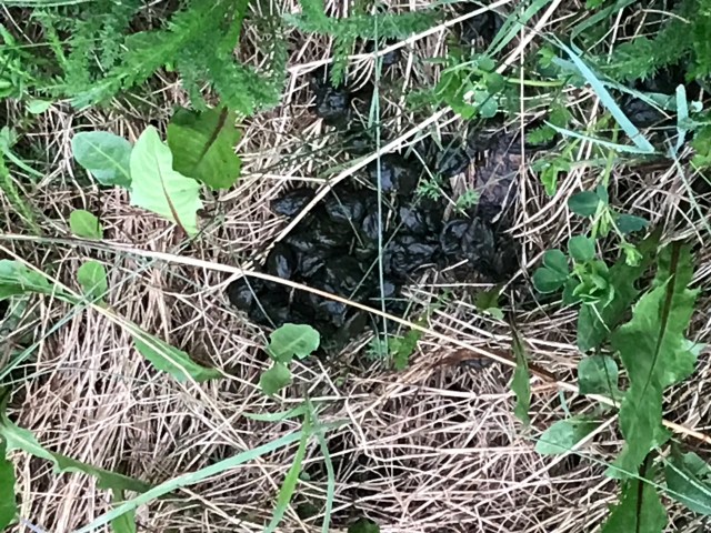 SrEpXUBLRmKWBdvHWP%whg