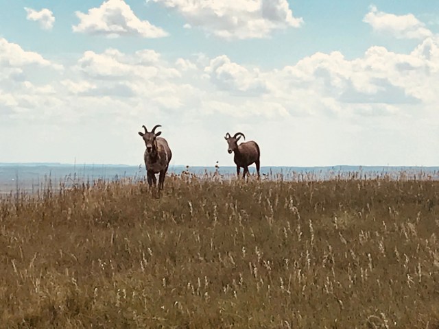 282770F6-6796-4901-8EB7-6FE479521B58