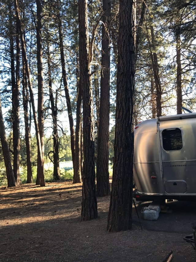 35CA0452-9F17-4266-9EAF-D9DBD98B4F42