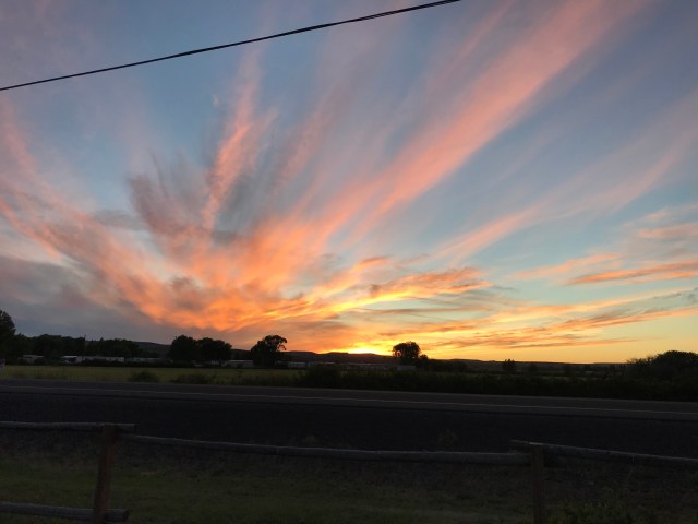 364F078D-FEB1-42B2-85F8-DB334528F9D2