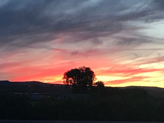 45747767-92E8-475B-BAB0-A6C942074E78