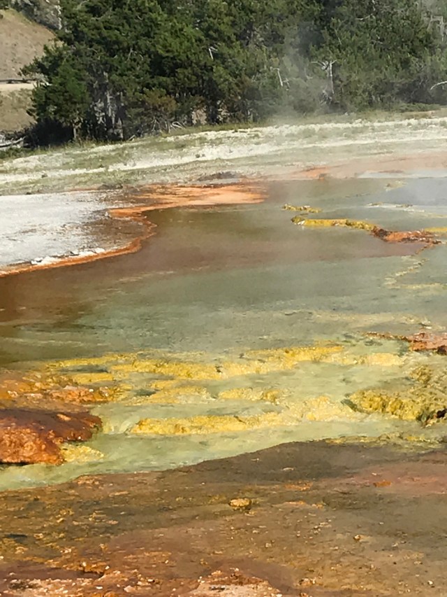 cnTjMMH2SKm83Q%xX4oUMg