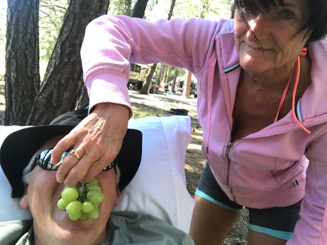 E6F02447-B73A-43EE-8550-A4040E00BEF7