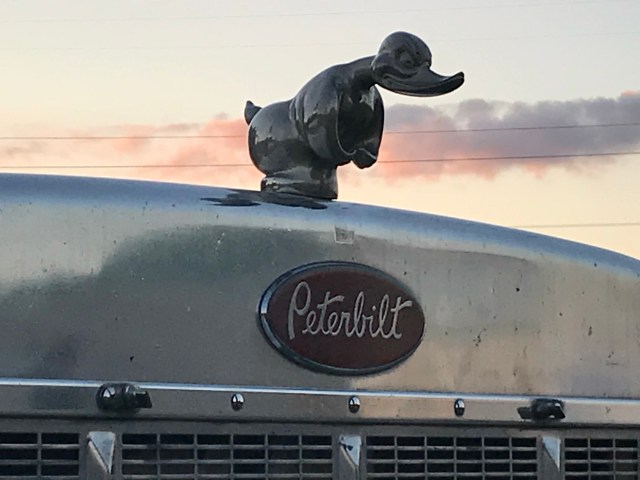 FBE2286D-9478-4522-9013-D32578FBCF48