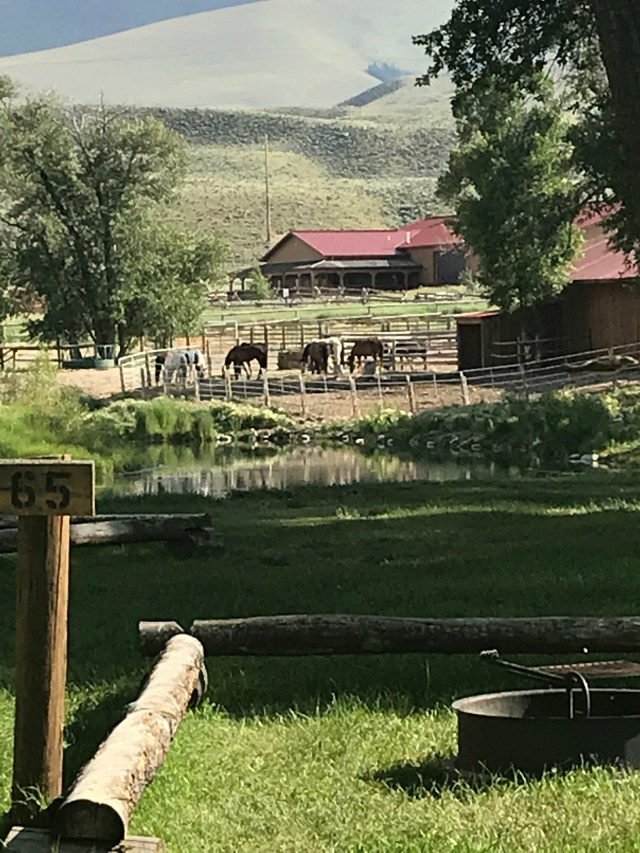 Ou%yztN6Swe6WTZ4UlLy+A