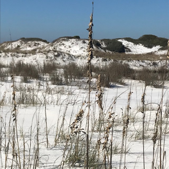 lpvgfmrbqf2uy5l5wwjx%w